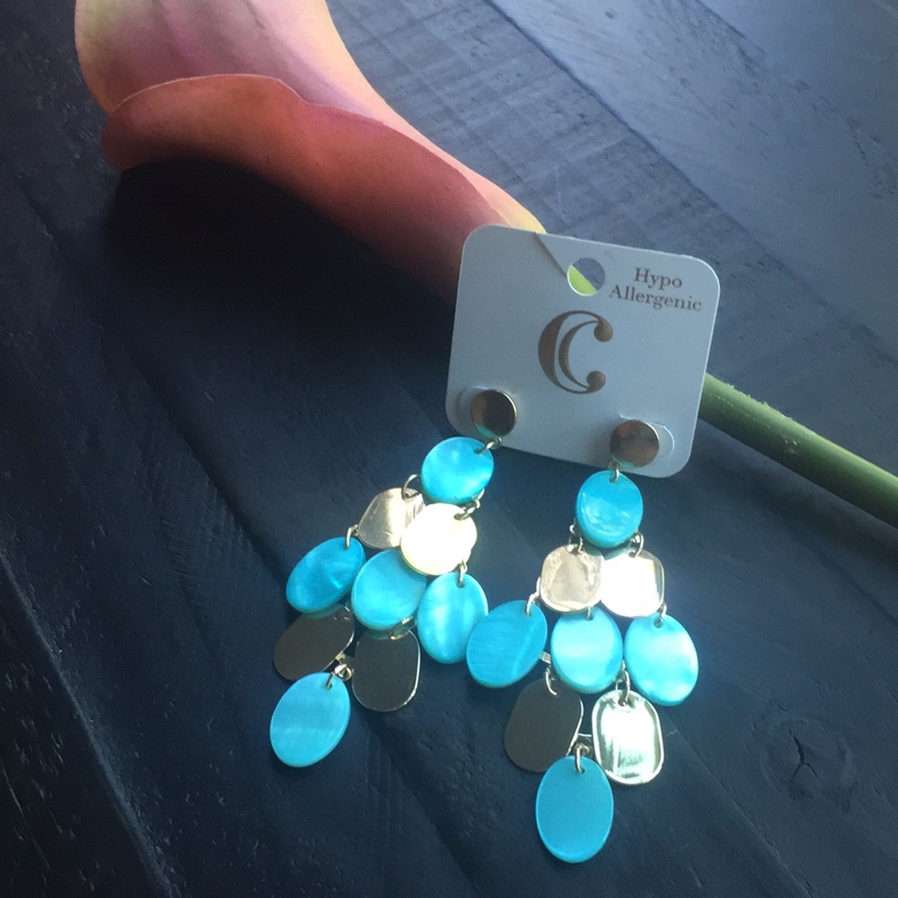 COPY - ❤️❤️ 4 For $18 Charming Charlie Earrings ❤️❤️